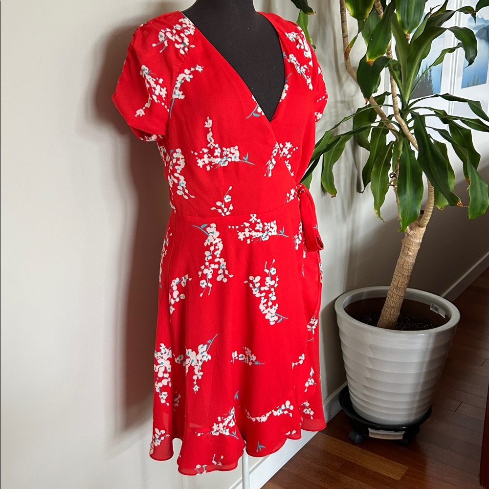 Collective Concepts Red Floral Mini Dress